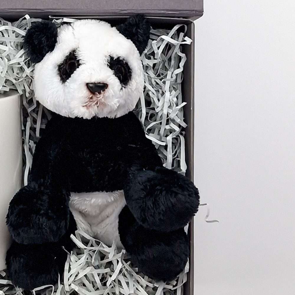 panda gift box