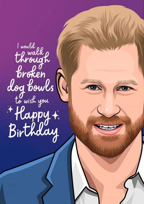 Prince Harry Broken Dog Bowls Funny Birthday Card