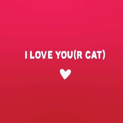 I Love You(r cat) Funny Valentine's Card