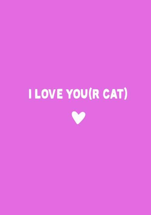 I Love You(r cat) Funny Valentine's Card