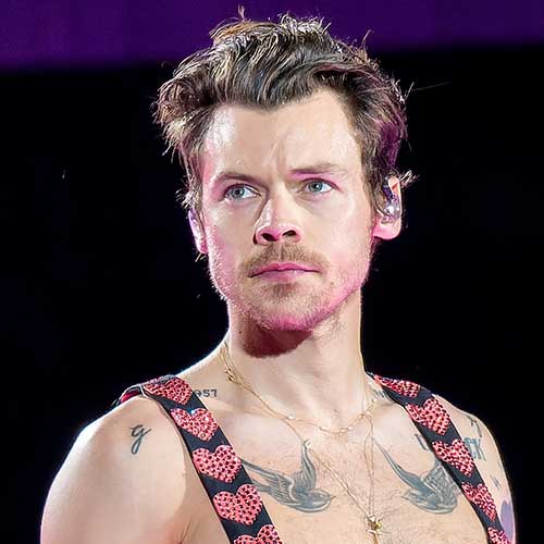 Harry Styles Fan Art & Merchandise